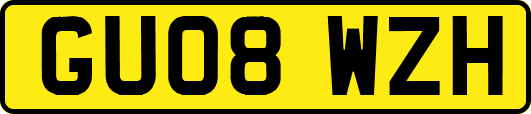 GU08WZH