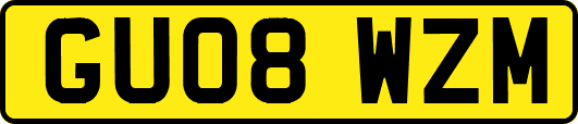 GU08WZM