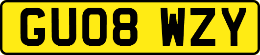 GU08WZY