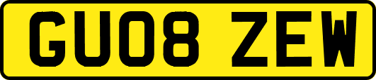GU08ZEW