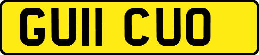 GU11CUO