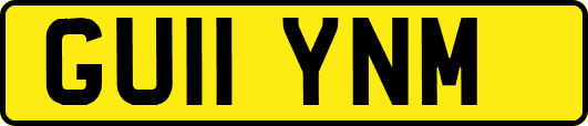 GU11YNM