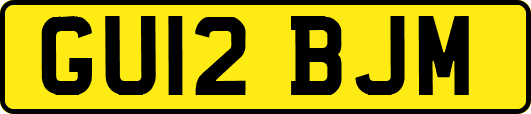 GU12BJM