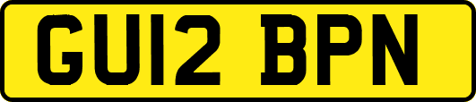 GU12BPN