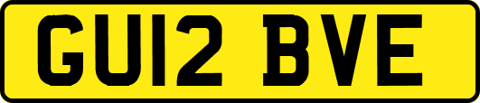 GU12BVE