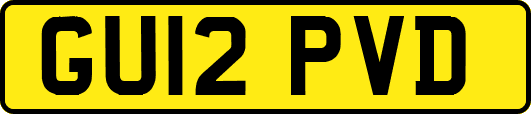 GU12PVD