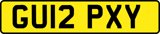 GU12PXY