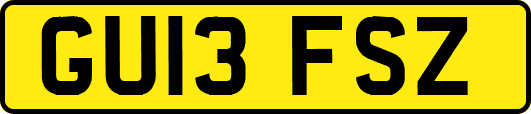 GU13FSZ
