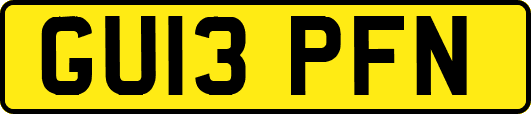 GU13PFN