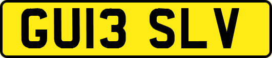 GU13SLV