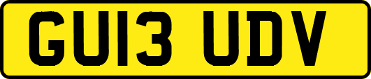 GU13UDV