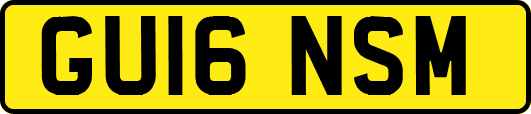 GU16NSM