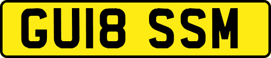 GU18SSM
