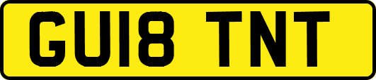 GU18TNT