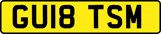 GU18TSM