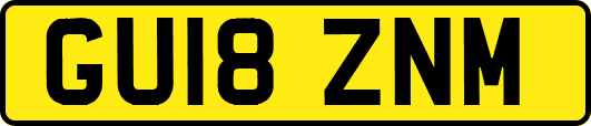 GU18ZNM