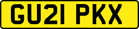 GU21PKX