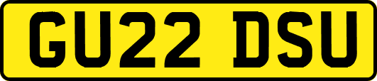 GU22DSU