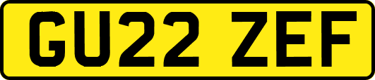 GU22ZEF