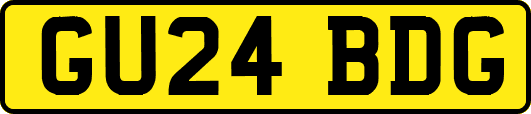 GU24BDG