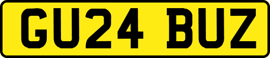 GU24BUZ