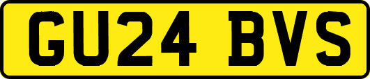GU24BVS