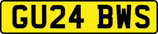 GU24BWS