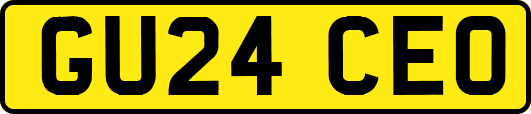 GU24CEO