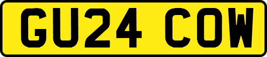 GU24COW