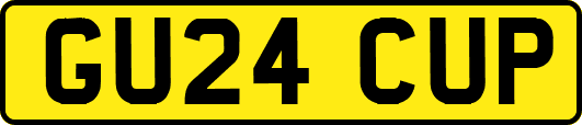 GU24CUP