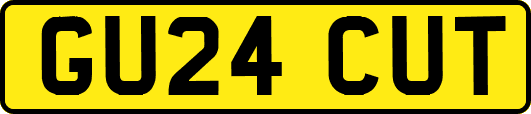 GU24CUT