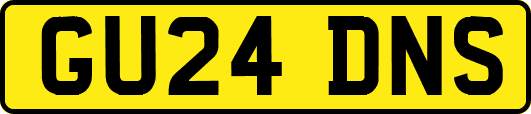 GU24DNS