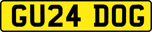 GU24DOG
