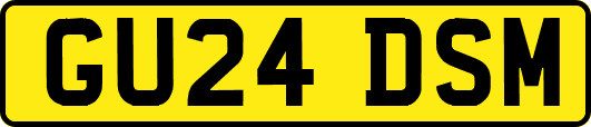 GU24DSM