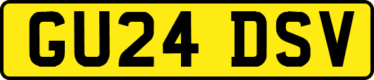 GU24DSV