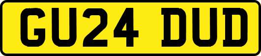 GU24DUD