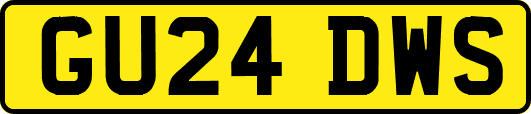 GU24DWS