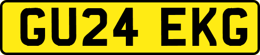 GU24EKG