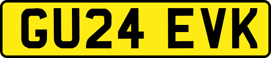 GU24EVK