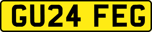 GU24FEG