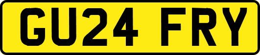 GU24FRY