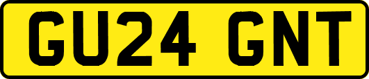 GU24GNT