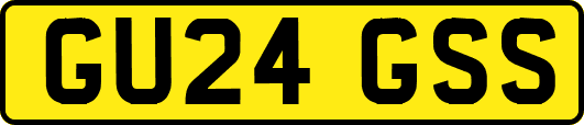 GU24GSS