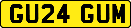 GU24GUM