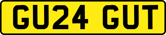 GU24GUT
