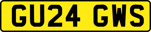 GU24GWS