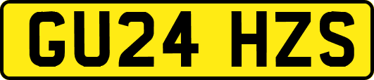 GU24HZS
