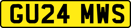 GU24MWS