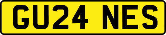 GU24NES