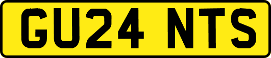 GU24NTS